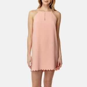 Cooper & Ella Elena Scallop Dress